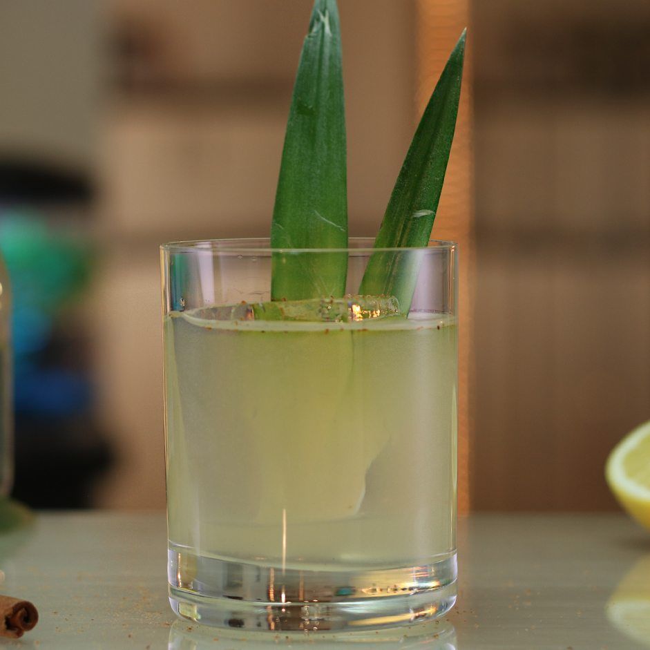 Agua Fresca Cocktail Recipe