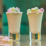 Marshmallow Shooters image