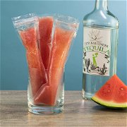 Watermelon Tequila Ice Pops image