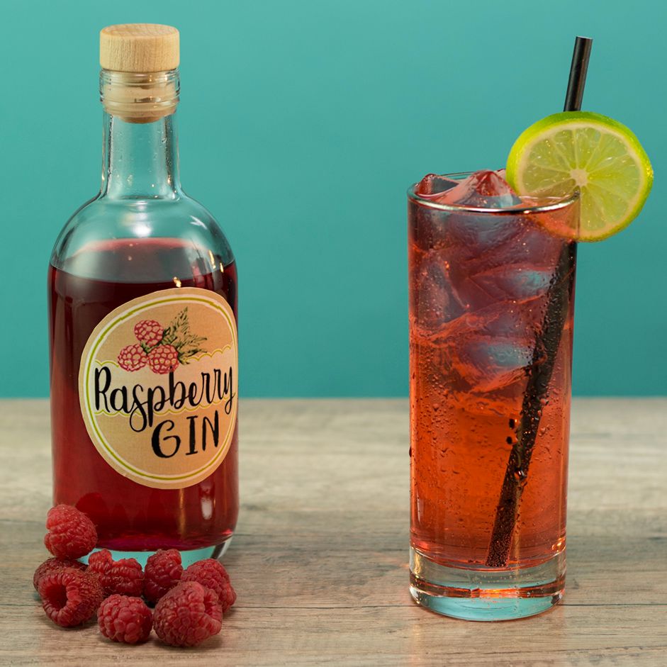 Diy Raspberry Infused Gin Cocktail Recipe 8161